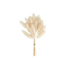 ADDO Florero Crema|CASA Online