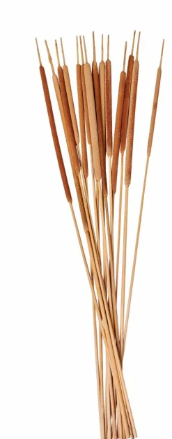 AFRIKA Florero Natural|CASA New