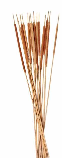 BAMBOO Cajonera 2 Cajones Natural|CASA
