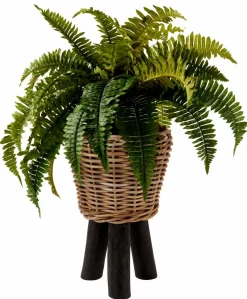 BAZAAR Macetero Natural|CASA Hot