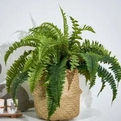 BAZAAR Macetero Natural|CASA