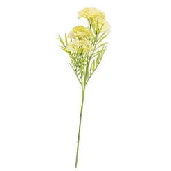 BERRY Rama De Hierba Amarillo|CASA Clearance