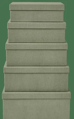 BIGSO Caja De Almacenaje Menta|CASA Clearance