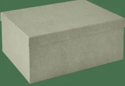BIGSO Caja De Almacenaje XL Menta|CASA Best