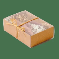 BOX Decoración Seca Varios Colores|CASA New