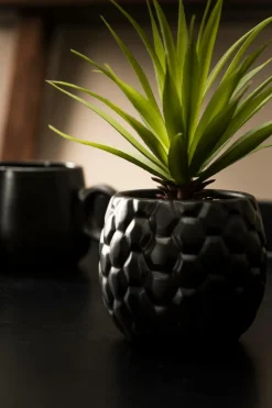 BUCK Decoración Marrón|CASA Clearance