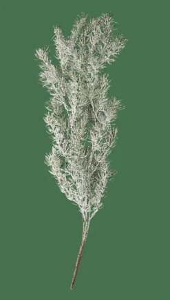 CEDER Rama Decorativa Verde|CASA Discount
