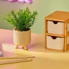 CERA Planta Artificial Varios Colores|CASA Outlet