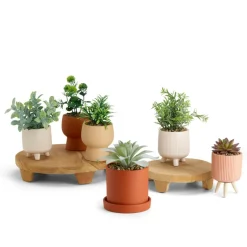 CERA Planta Artificial Varios Colores|CASA Hot