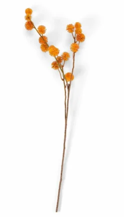 DANDIL Tallo Naranja|CASA Discount
