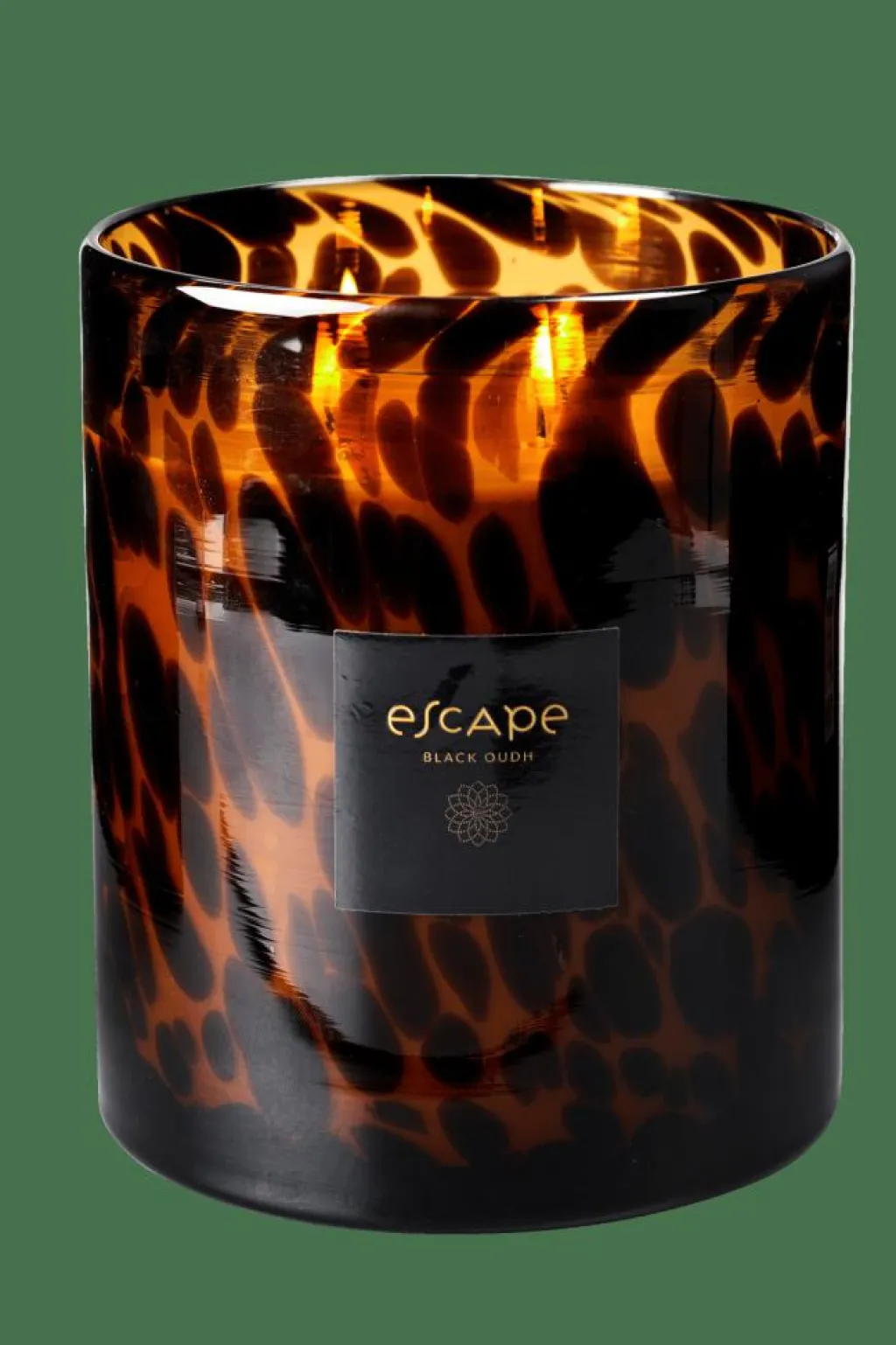 ESCAPE BLACK OUDH Negro, Marrón, Ocre|CASA Outlet