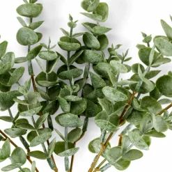 EUCALYPTUS Ramo Artificial Burdeos|CASA Clearance