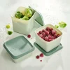 FREEZER Cajas Congeladoras Juego De 10 Menta, Verde Oscuro|CASA Best