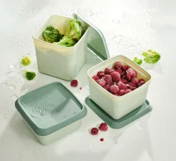 FREEZER Cajas Congeladoras Juego De 10 Menta, Verde Oscuro|CASA Best
