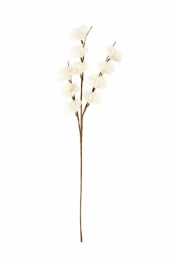FROST Alerce Blanco|CASA Best