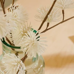 FROST Alerce Blanco|CASA Best