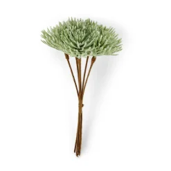 FROST Alerce Verde|CASA Sale