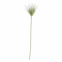 GRASS Haz De Hierba Rojo|CASA Online