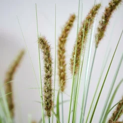 GRASS Haz De Hierba Rojo|CASA Online