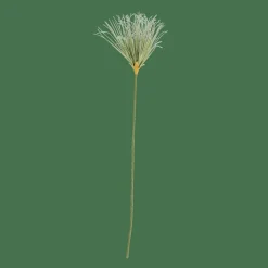 GRASS Haz De Hierba Verde|CASA New