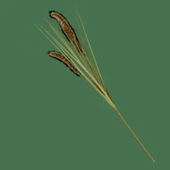 GRASS Tallo De Carrizo Artificial Verde|CASA Outlet