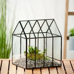 GREENHOUSE Invernadero Mini Transparente|CASA Online