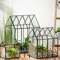 GREENHOUSE Invernadero Mini Transparente|CASA Online