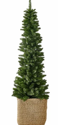 HYMNE Rama Decorativa Verde|CASA Sale