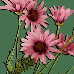 INDI Rama De Flores Morado|CASA Clearance