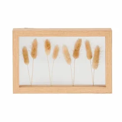 LAGURUS Cola De Liebre Natural|CASA Clearance