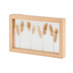LAGURUS Cola De Liebre Natural|CASA Clearance