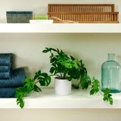 MONSTERA Planta Varios Colores, Blanco, Verde|CASA Sale