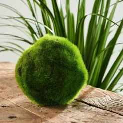 MOSS Bola De Musgo Verde|CASA Discount