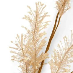 PAMPA Hierba De Las Pampas Blanco|CASA Discount