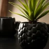 PINA Piña En Tarro Negro|CASA Outlet