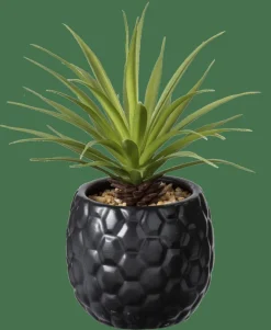 PINA Piña En Tarro Negro|CASA Outlet