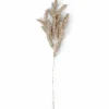 PINE Seta|CASA Best