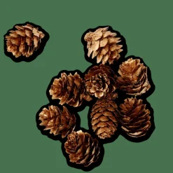 PINECONE Decoración Para Esparcir Dorado|CASA Sale