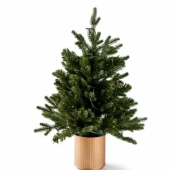 PINUS Rama Navideña Rojo, Verde|CASA Clearance