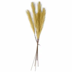 PLUME Plumas Decorativas Marrón Claro|CASA Sale