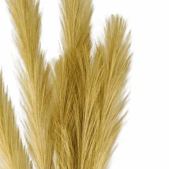 PLUME Plumas Decorativas Marrón Claro|CASA Sale