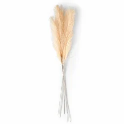 PLUME Plumas Decorativas Marrón Claro|CASA Sale