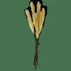 PLUME Plumas Decorativas Verde|CASA Online