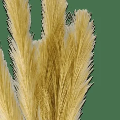 PLUME Plumas Decorativas Verde|CASA Online