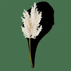 PLUME Tallo Blanco Apagado|CASA Discount