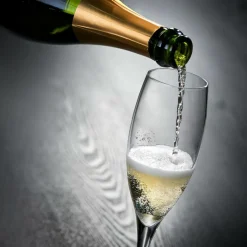 PREMIUM Copa De Cava 26 CL|CASA Outlet