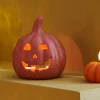 PUMPKIN Calabaza Terracota|CASA Best
