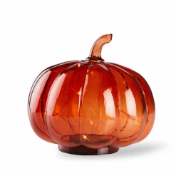 PUMPKIN Vela Naranja|CASA Clearance