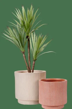ROMA CREME Macetero Crema|CASA Clearance