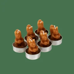 SQUIRREL Marrón|CASA Online